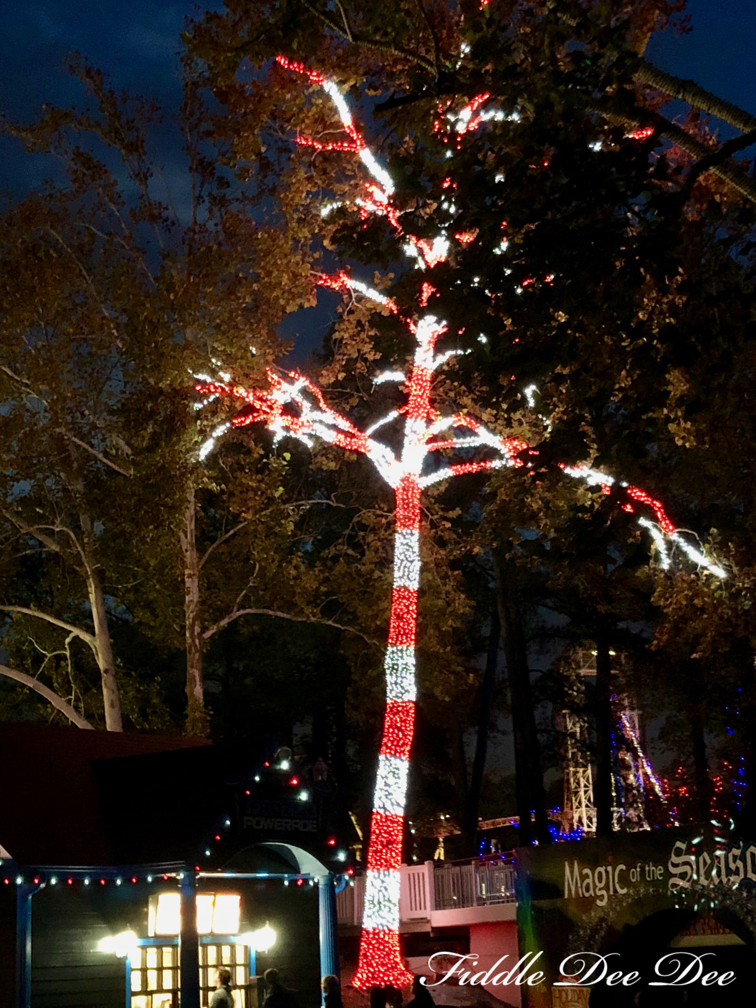 holiday-in-the-park-lights